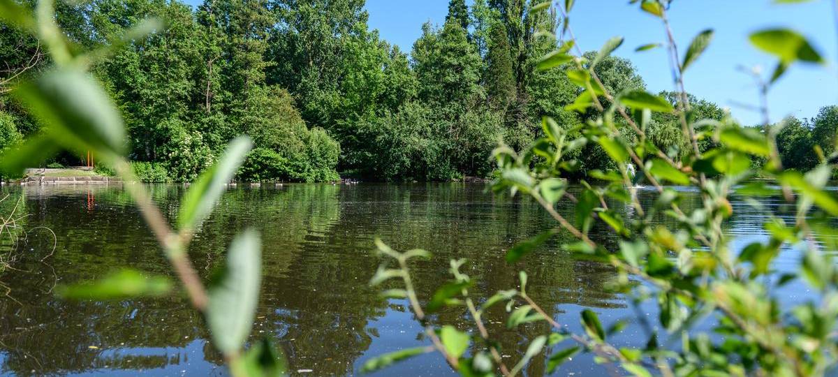 Volkspark: Polizei schnappt mehrere Dealer