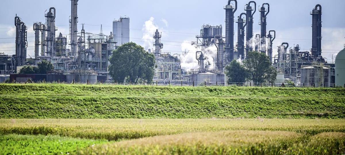 Weißes Plastik-Pulver: Stadt rät bei Gemüse zur Vorsicht