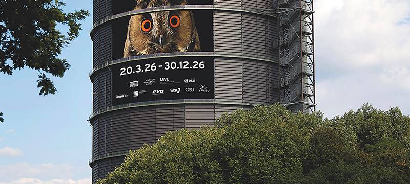 „Mythos Wald“: Neue Gasometer-Ausstellung startet im März