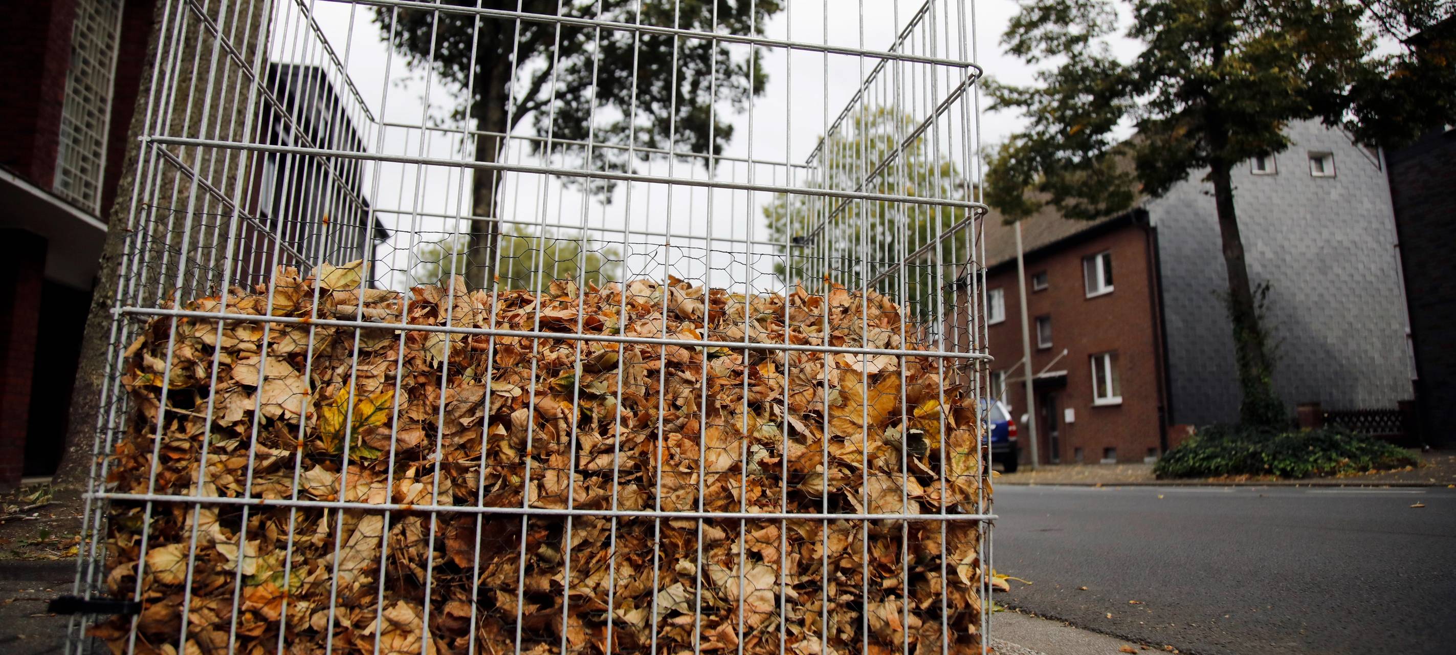 Laubsammlung startet ab morgen in Oberhausen
