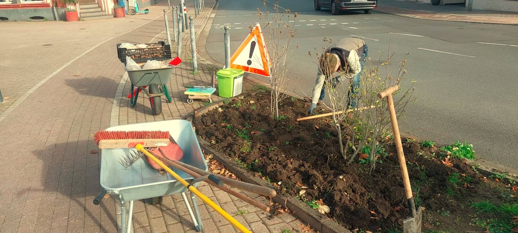 12.000 Blumenzwiebeln für Schmachtendorf gepflanzt