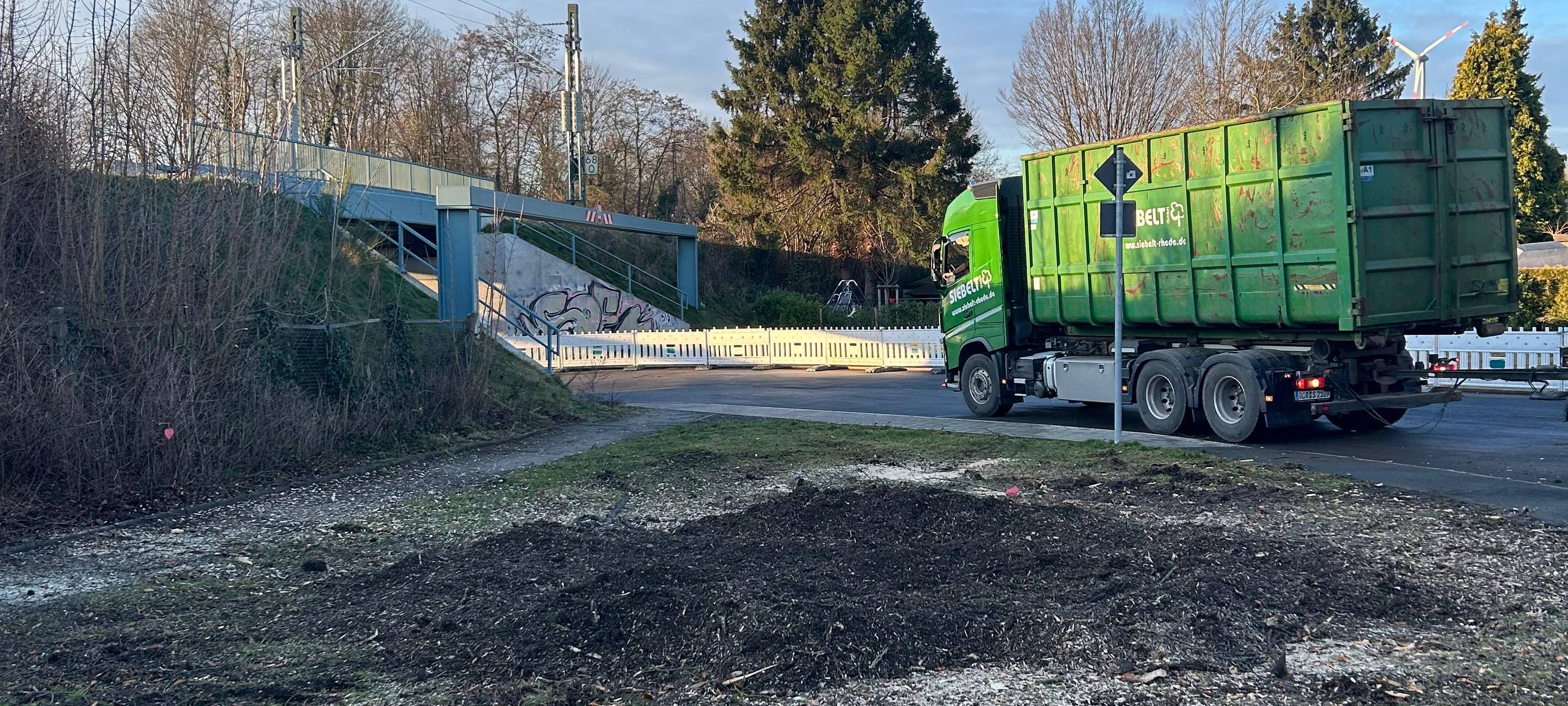 Alte Buche in Alstaden gefällt