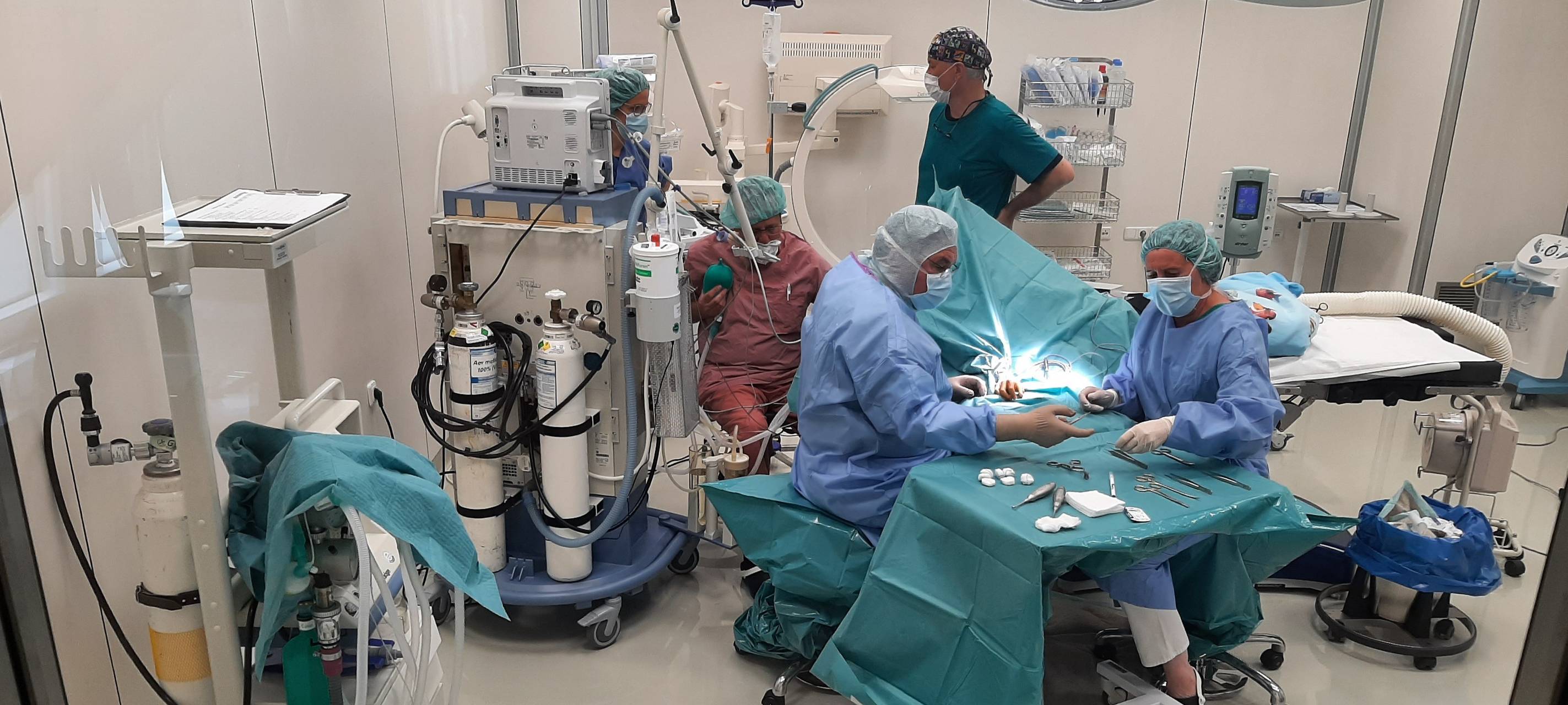 Friedensdorf hilft 150 Kindern aus Kriegsgebieten