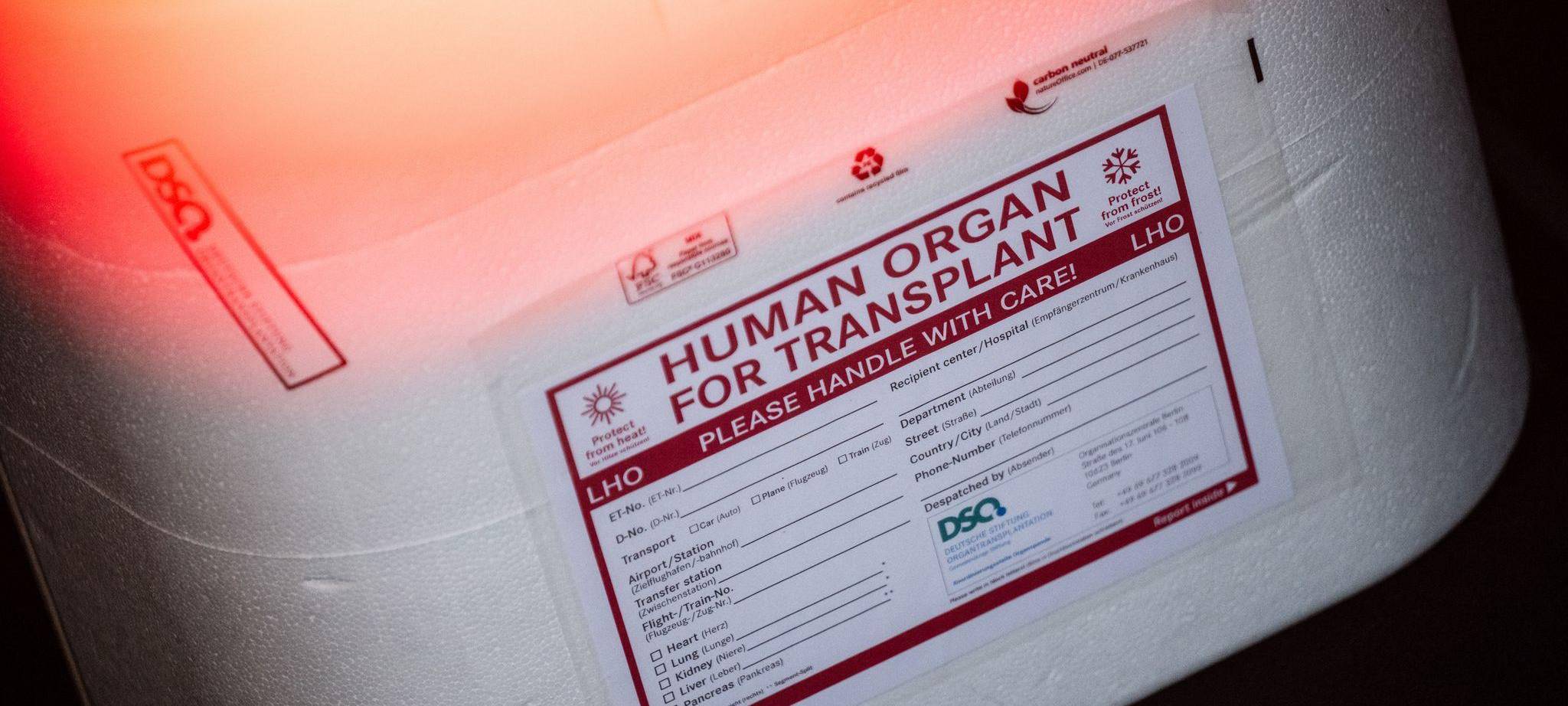 Illustration - Organspende