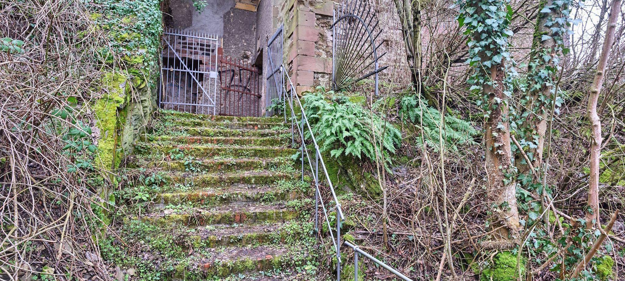 Cold Case Amy Lopez in Koblenz