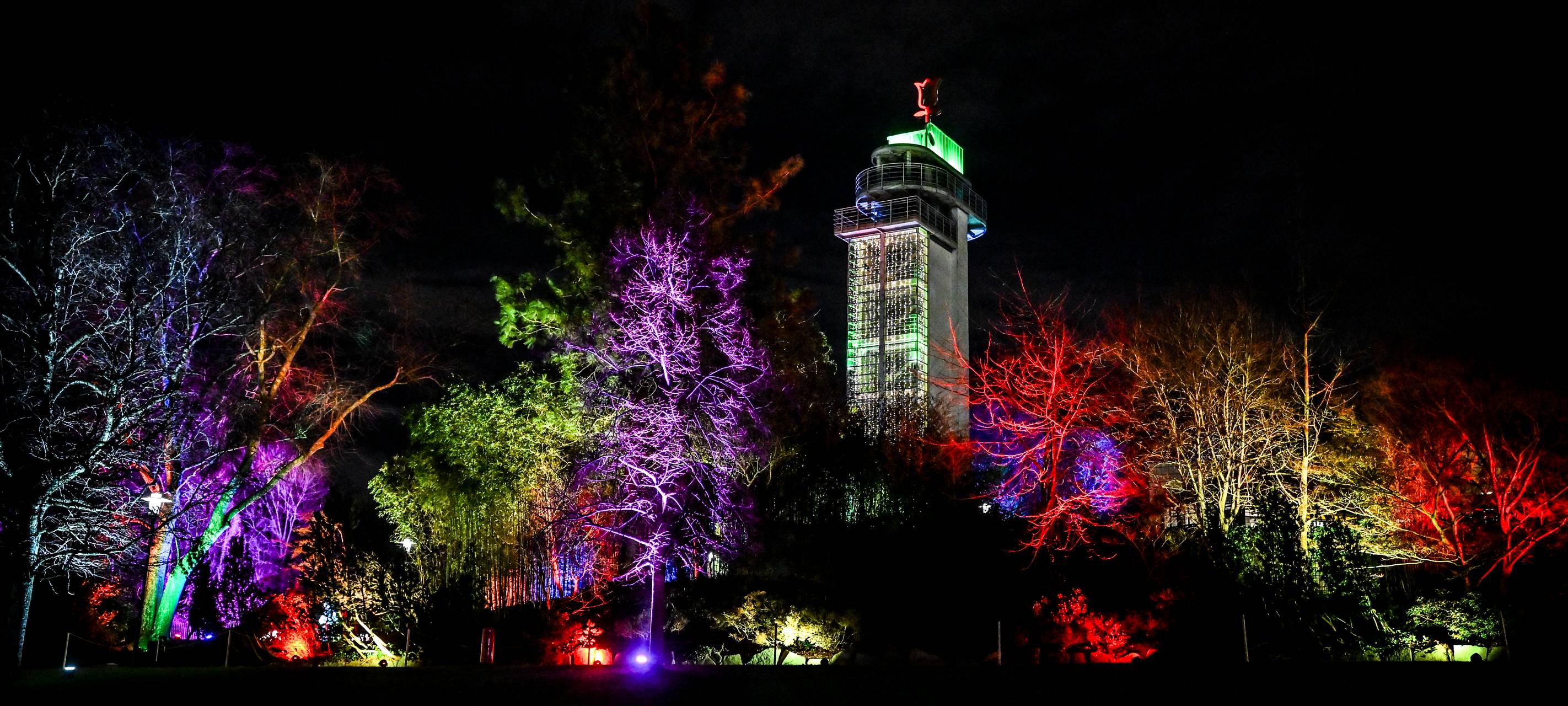 Essen: Besucherrekord bei Parkleuchten