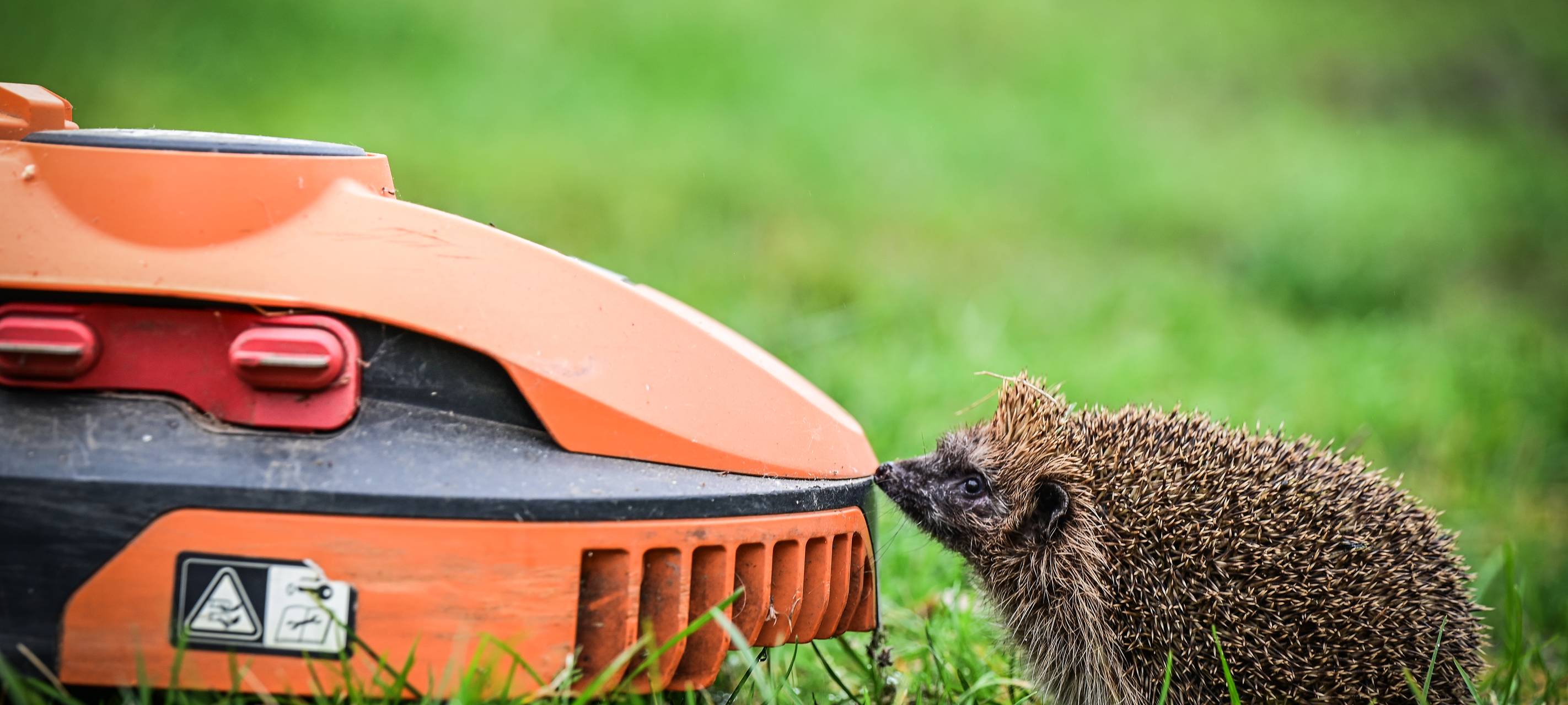 Nachtfahrverbot für Mähroboter beschlossen