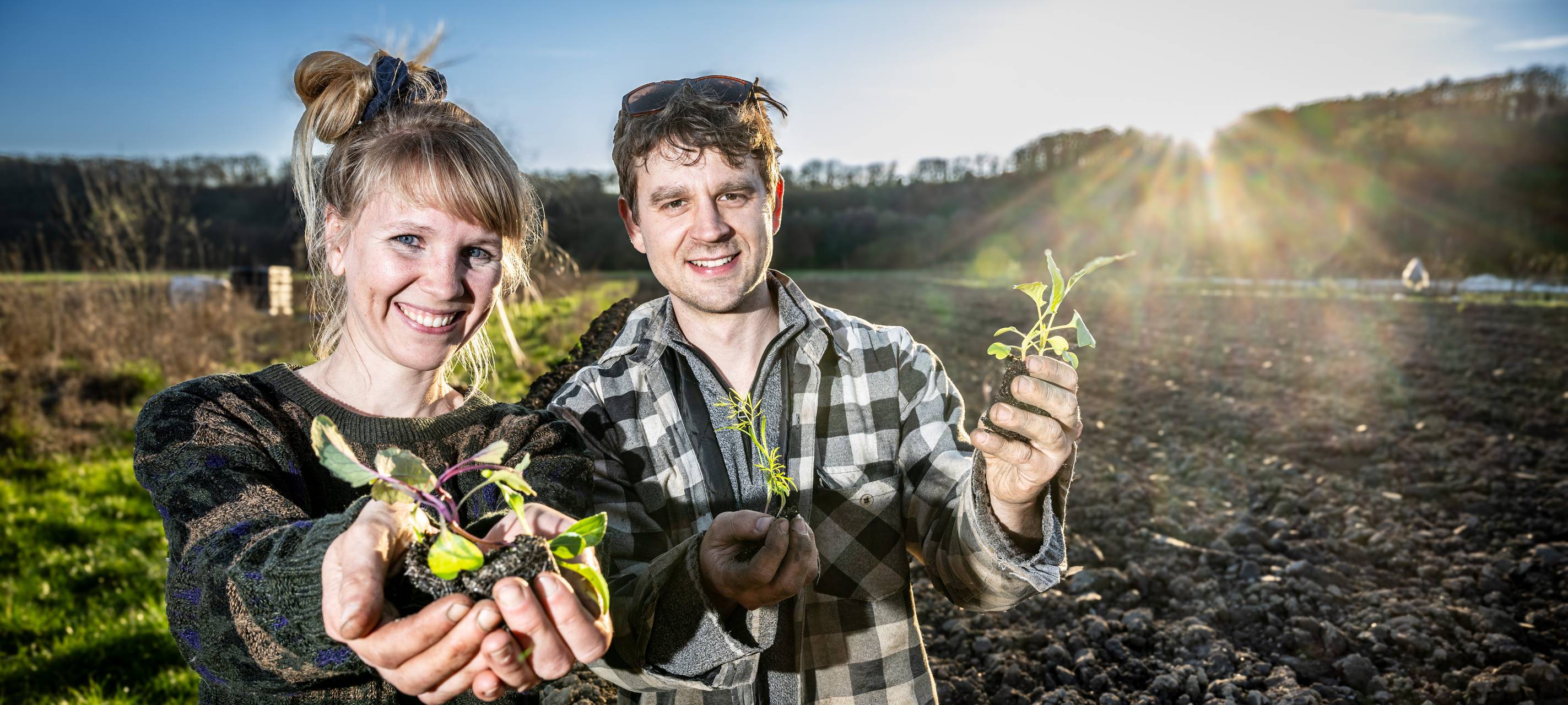 Frisches Gemüse direkt nach Oberhausen