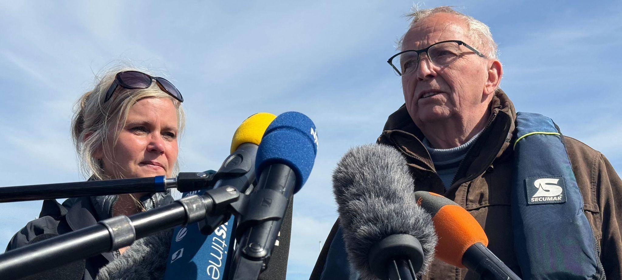 Weitere Entwicklung zum Buckelwal in der Ostsee