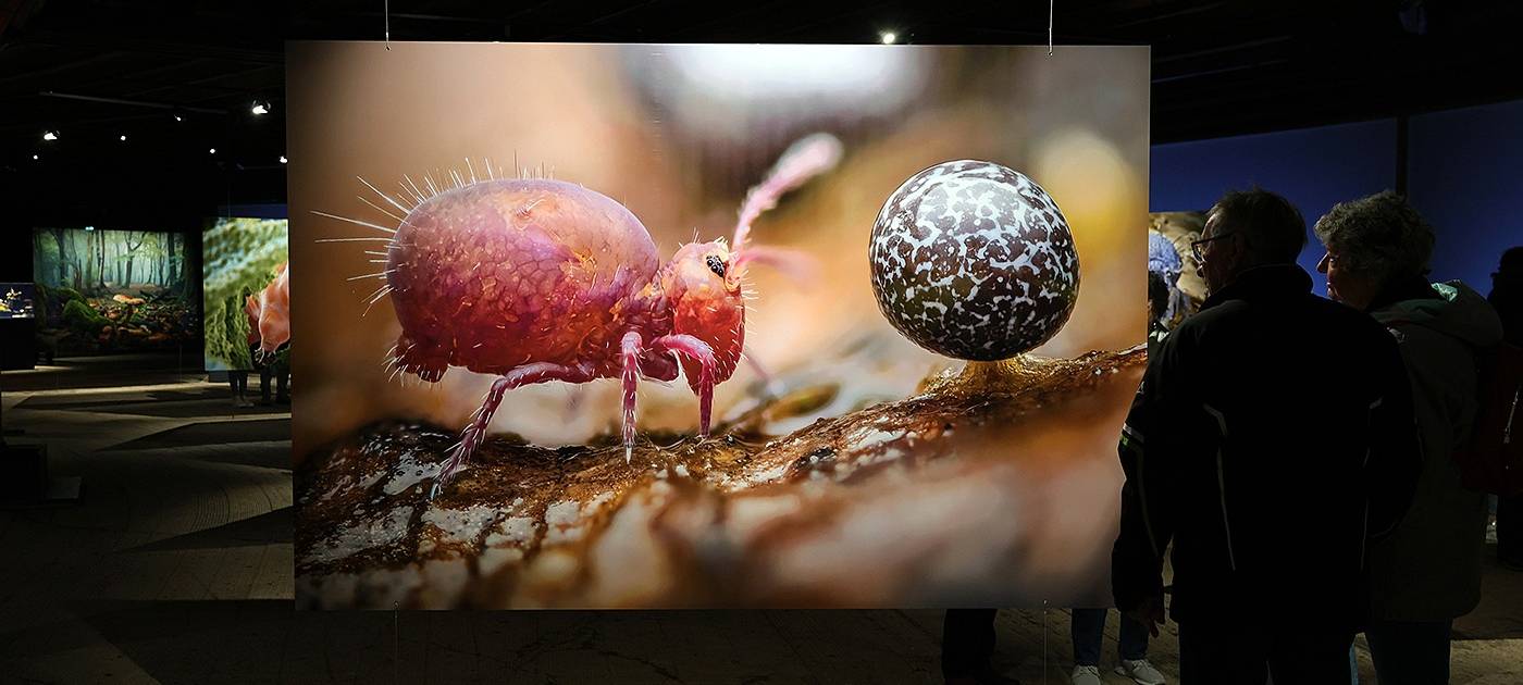 Gasometer: 100.000 Besucher für „Mythos Wald"