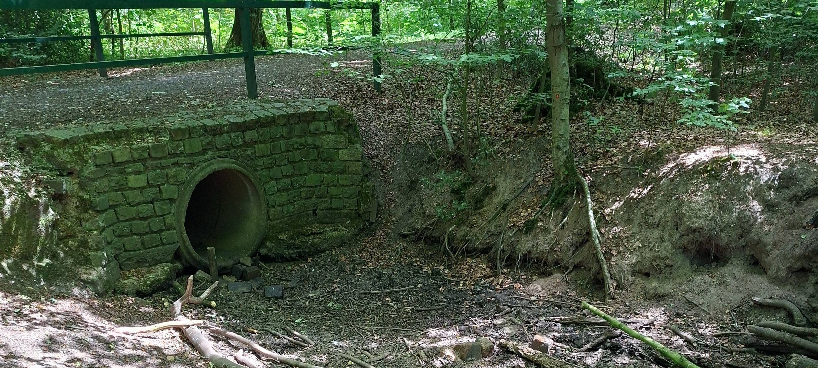 Hitze und Trockenheit: Waldbrandgefahr in Oberhausen steigt