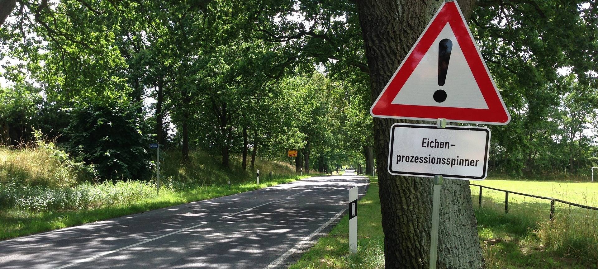 Meisen statt Umweltgift