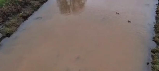 Emschergenossenschaft gibt Entwarnung wegen braunem Wasser